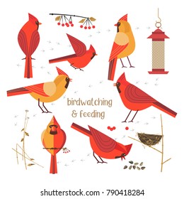 Birdwatching, bird feeding icon set. Red Northern cardinals pose comic flat cartoon. Birds straw nest, feeder, sunflower seeds. Minimalism simplicity design. Wildlife banner sign. Vector illustration