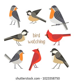 Birdwatching icon set. Red Northern cardinal, robin chickadee bird pose. Comic flat cartoon. City park backyard birds sign. Minimalism simplicity design. Wildlife banner element. Vector illustration