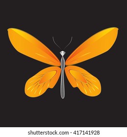 Birdwings Butterfly, Vector illustration.