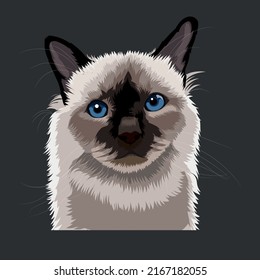 Birman cat with blue eyes, vector portrait.