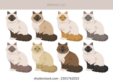 Birman Cat clipart. All coat colors set.  All cat breeds characteristics infographic. Vector illustration