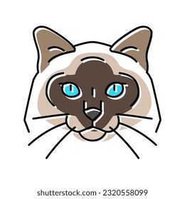 birman cat cute pet color icon vector. birman cat cute pet sign. isolated symbol illustration