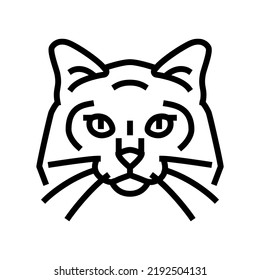 birman cat cute pet line icon vector. birman cat cute pet sign. isolated contour symbol black illustration