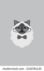 Birman cat gentlemen wear glasses, Fashion portrait of cat