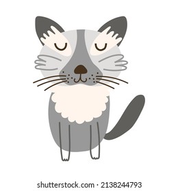 Birman Cat portrait on isolated background. Vector illustration.