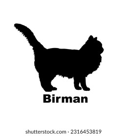 Birman cat silhouette. Cat breeds vector. Pet. Animal