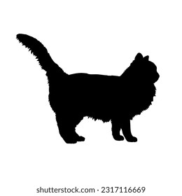 Birman cat silhouette cat breeds vector pet