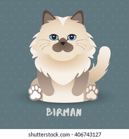 Birman Cat : Vector Illustration