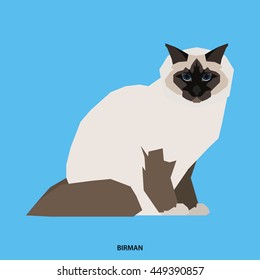 Birman, Isolated cat breed, Vector illustration