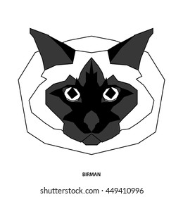 Birman, Isolated cat breed, Vector illustration