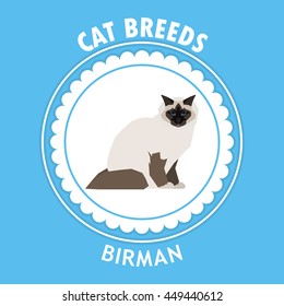 Birman, Isolated cat breed, Vector illustration