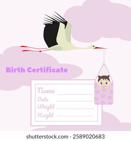 birth certificate the stork carries a baby girl