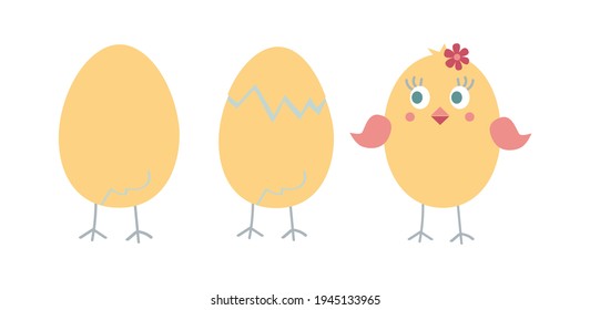 El nacimiento de una gallina de un huevo. Pollo en la concha. Pollo amarillo gracioso. Patrona de Pascua sobre fondo blanco, ilustración vectorial.