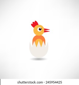 Birth of chicken icon