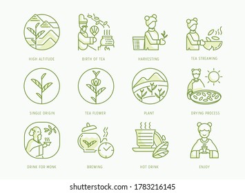 birth of Chinese tea icons set with emperor,tea brewing,leaf,Buddhist monk,girl,fermentation,sun drying process and tea leaf streaming,