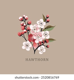 Birth flower, Hawthorn, May birth month, flower market poster. Birth flower Hawthorn, May birth month, flower market poster, silkscreen printing, retro groovy trippy psychedelic poster art, simple