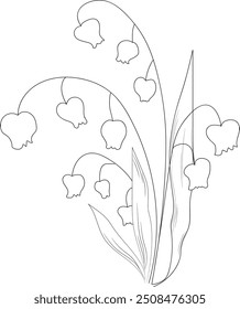 Birth flower vector illustration, beautiful Lily of the Valley flower wall decor, hand-drawn coloring pages Lily of the Valley  flower drawing of artisticv ink art, Lily of the Valley flower tattoo de