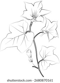 Ilustración vectorial de la flor del nacimiento, decoración hermosa de la pared de la flor de la hiedra, páginas para colorear dibujadas a mano, dibujo de flores de hiedra del arte artístico de la tinta grabada de la flor de hiedra, diseños del tatuaje de la flor de hiedra