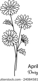 Birth month flower of April is daisy flower for printing engraving, laser cut, coloring and so on. Vecter illustration.