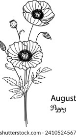 Birth month flower of August is Poppy flower for printing engraving, laser cut, coloring and so on. Vecter illustration.