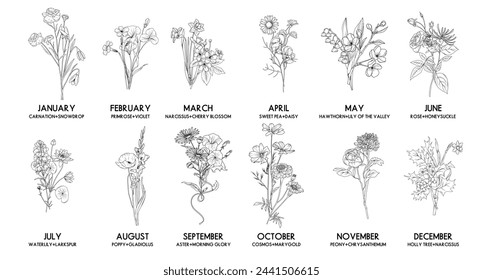 Birth month flower bouquet set, vector hand drawn isolated line art floral compositions for greeting cards and invitations