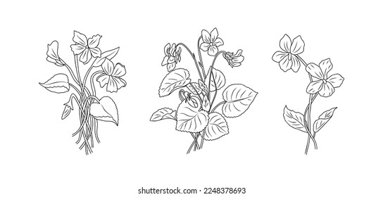 Birth month flower line art vector illustrations set isolated on white. Violet February birth month flowers black ink sketch. Modern minimalist hand drawn design logo, tattoo, wall art, poster.