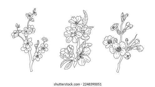 Birth month flower line art vector illustrations set isolated on white. Cherry Blossom March birth flower black sketch. Sakura Modern minimalist hand drawn design for logo, tattoo, wall art, poster.