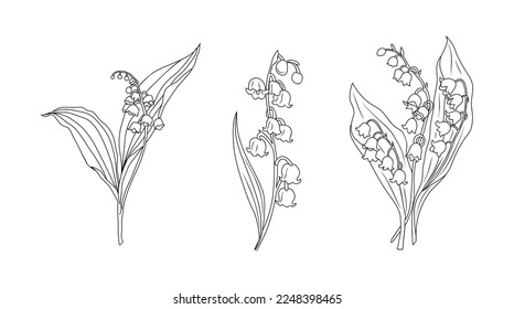 Blumenzeilenillustrationen der Geburtsmonate einzeln auf Weiß. Lily of The Valley May gebürtige schwarze Tintenskizze. Modernes minimalistisches handgezeichnetes Design für Logo, Tattoo, Wandkunst, Plakat.