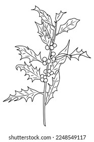 Ilustración vectorial de la línea de flores de mes de nacimiento aislada en fondo blanco. Esbozo negro de la flor de nacimiento de Diciembre Holly. Diseño minimalista moderno para el logotipo, el tatuaje, el arte mural, el afiche.