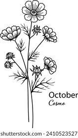 Birth month flower of October is Cosmo flower for printing engraving, laser cut, coloring and so on. Vecter illustration.