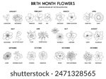 Birth month flower set, vector hand drawn isolated line art flowers and plants for greeting cards and invitations