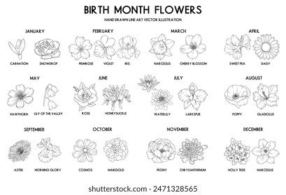 Birth month flower set, vector hand drawn isolated line art flowers and plants for greeting cards and invitations