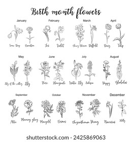 Birth month flowers chart line art drawings.