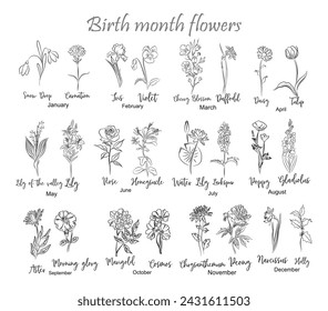 Birth month flowers chart line art drawings.