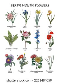 Birth month flowers colorful vector illustrations set.