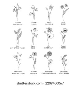 Birth Month Flowers Illustration Bundle