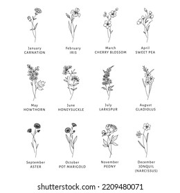 Birth Month Flowers Illustration Bundle