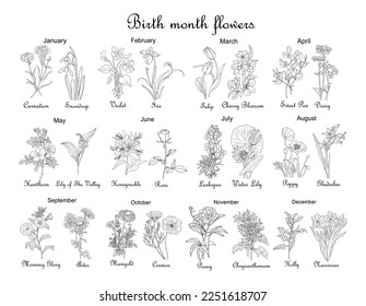 Birth month flowers line