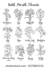 Birth month flowers line art vector illustrations.