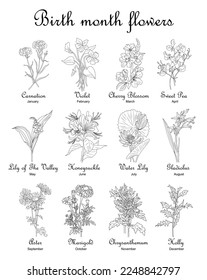 Birth month flowers Set of line art vector illustrations. Carnation, violet, honeysuckle, lilies, gladiolus, aster hand drawn black ink sketch. Modern minimalist design for jewelry, tattoo, logo.