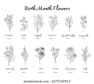 Birth Month Flowers set line art. Outline birth month flowers isolated on white. Hand painted line art botanical illustration. Carnation, Violet, Daffodil, Sweet Pea, Lily of the Valley, Honeysuckle, 