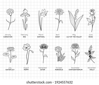 Birth month flowers simple design bundle. Minimal summer spring decoration. Silhouette vector flat illustration. Cutting file. Suitable for cutting software. Cricut, Silhouette