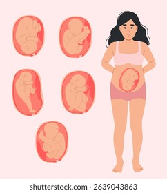 Birth position of the fetus
