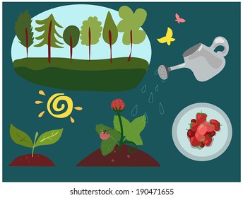 birth of strawberries