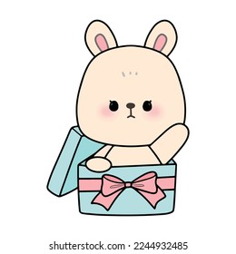 birthday bunny rabbit vector illustration