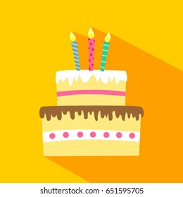 Birthday cake with candles vector