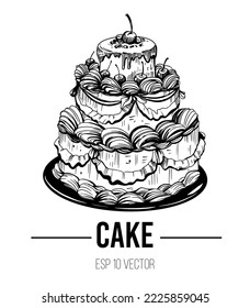 Birthday cake. Hand drawn sketch. Vector illustration.