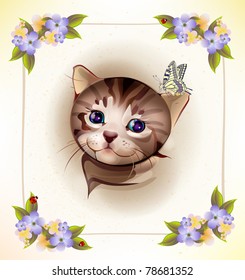 birthday card with  little tabby kitten and butterfly