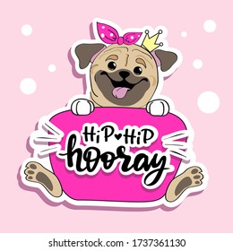 Birthday card with a pug dog on a raspberry cake with the inscription Hip Hip Hooray. Fashion sticker vector illustration