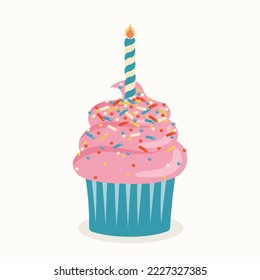 Birthday cupcake with candle and icing.
